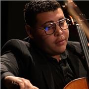 Profesor de música y cuerdas bajas